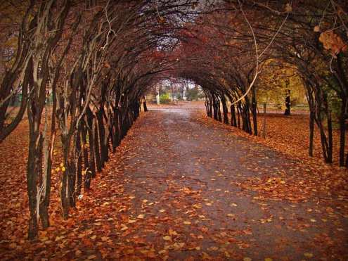 Познавательная экскурсия по Ташкенту